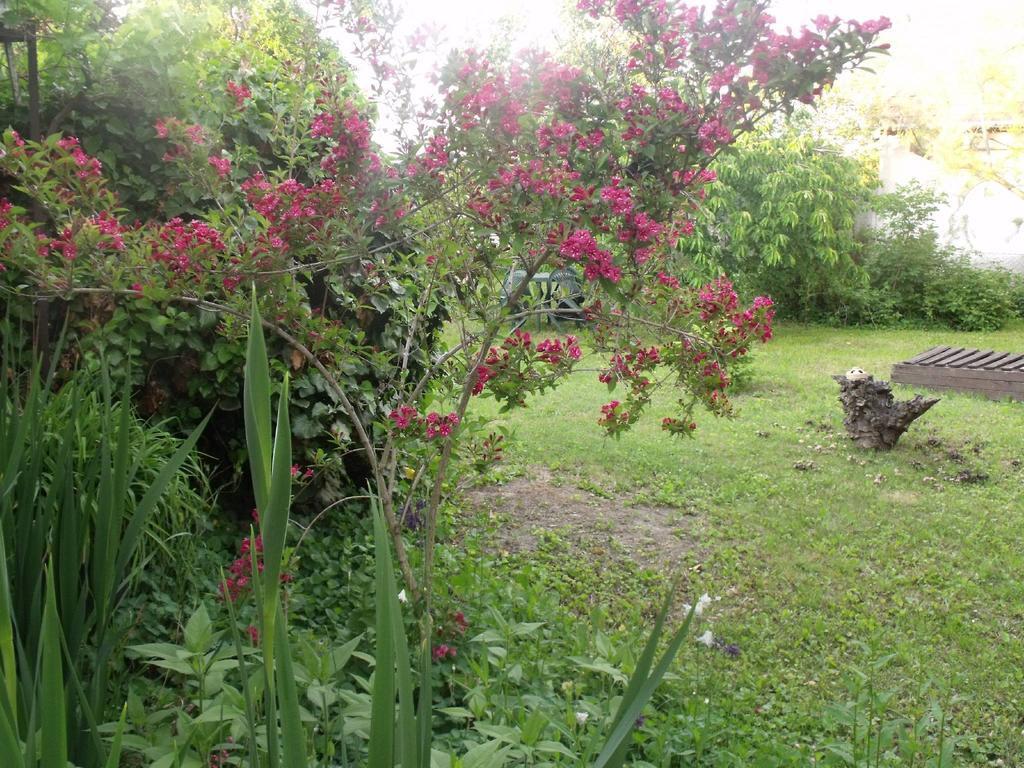 Kerekparos Es Zarandok Vendeghaz Villa Apostag Bilik gambar