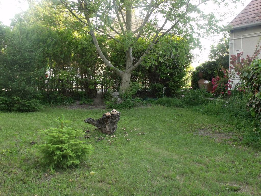 Kerekparos Es Zarandok Vendeghaz Villa Apostag Bilik gambar