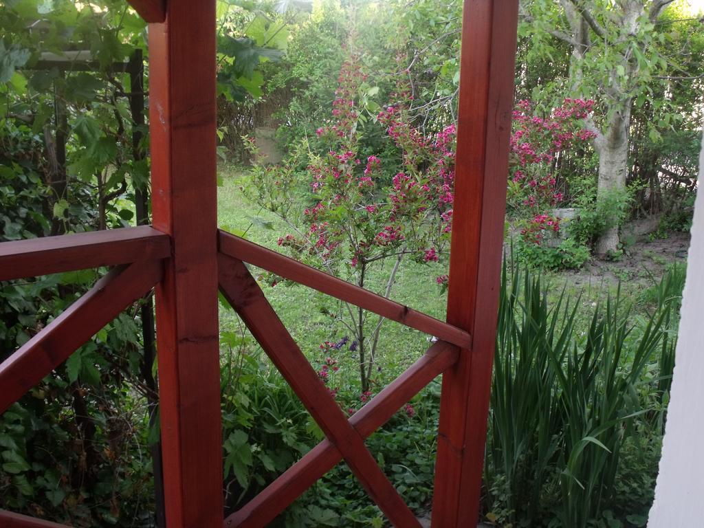 Kerekparos Es Zarandok Vendeghaz Villa Apostag Bilik gambar